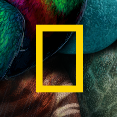 National Geographic logo